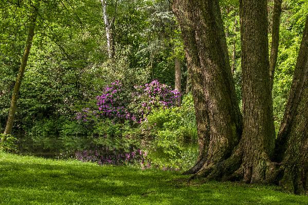 /gallery/Aschaffenburg/P1170864.jpg